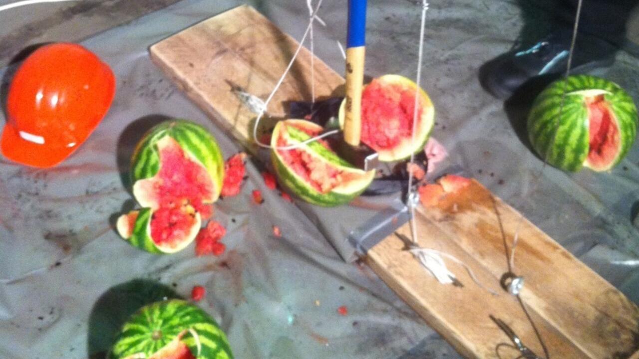 Melonenbild aus Fallhammer.jpg